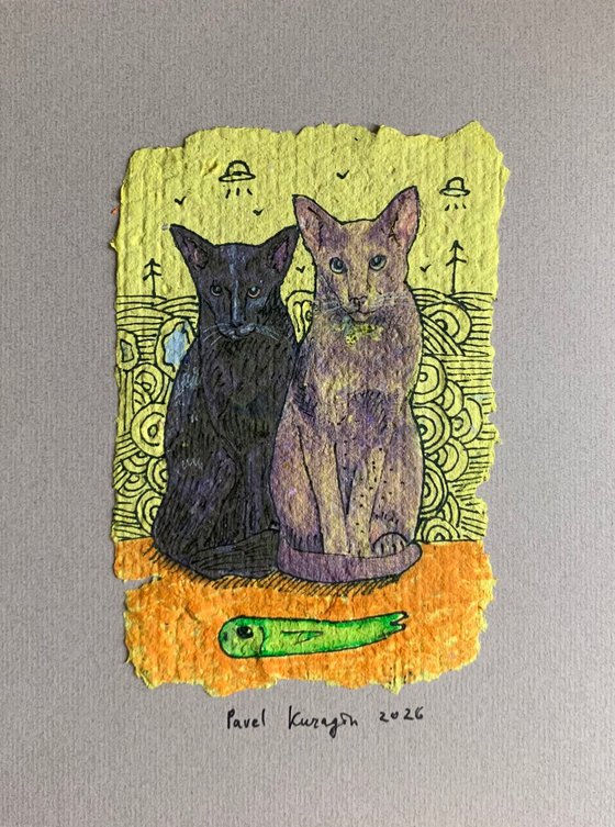 Cute cats