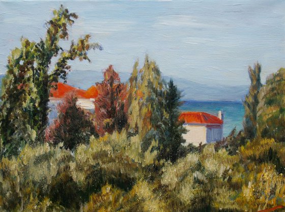 Kassandra landscape, evening