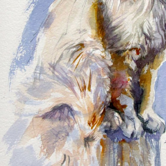 Sitting cat II