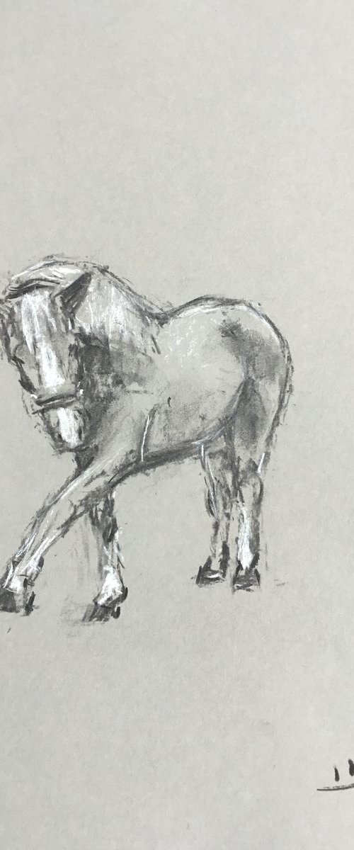 Horse Study 2 by Dominique Dève