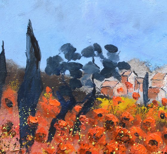 Red poppies  in Provence   6624