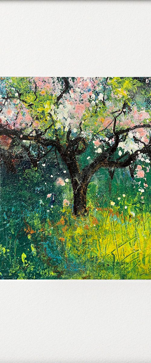 Orchard Series - Spring blossom by Teresa Tanner