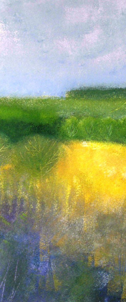 The Little White Cottage by Jan Rippingham