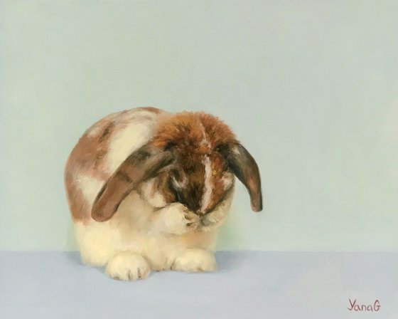 Bunny Oil Painting