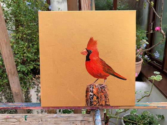 The Red Cardinal