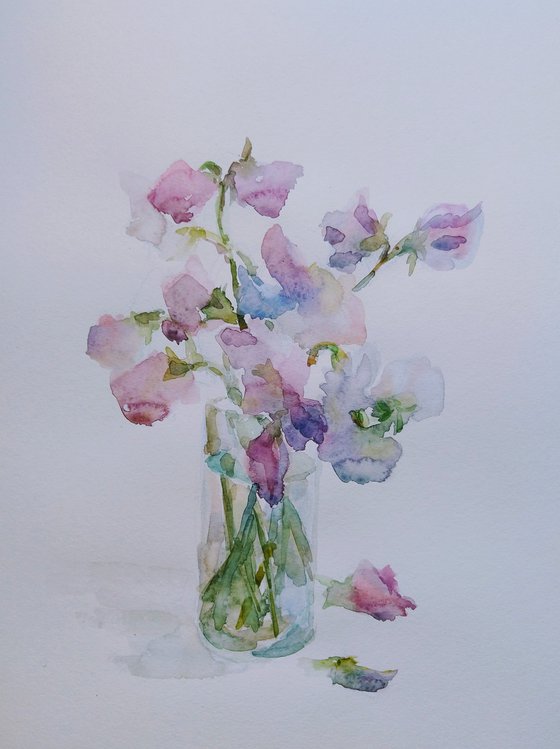 Sweet pea.  Original watercolour painting 2021