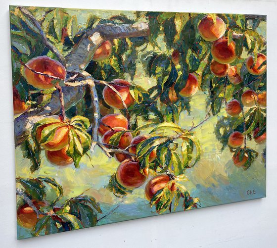 Peach Tree