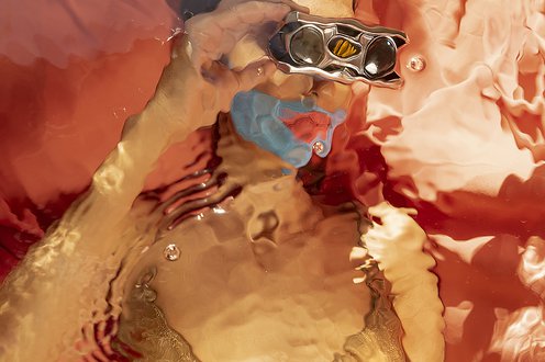 Cover image for Curator's Picks: Photography collection
