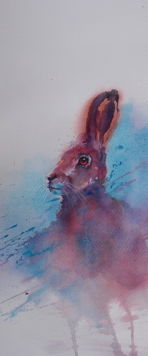 hare 7 by Giorgio Gosti