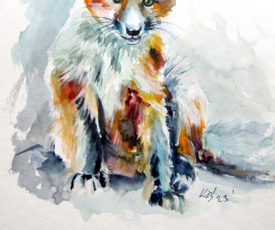 Red fox cub