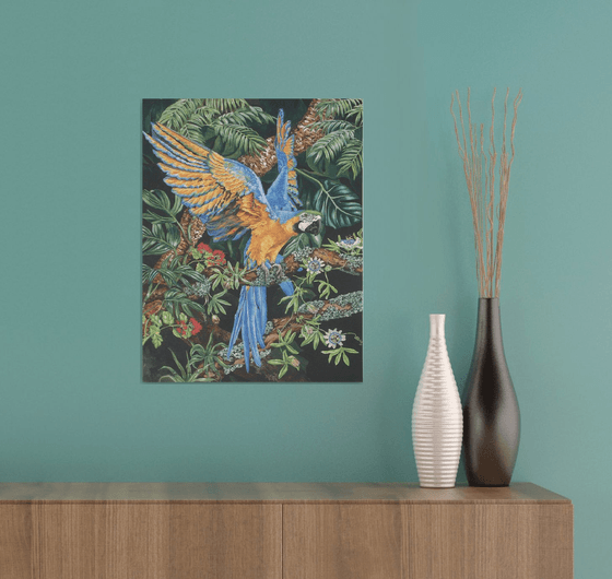Blue & Yellow Macaw