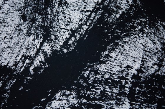 Movement In Black And White 1