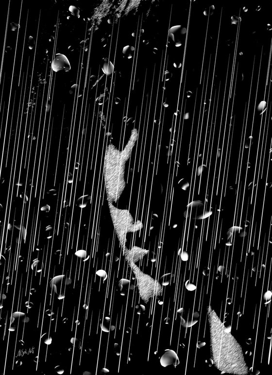 In Rainy Window