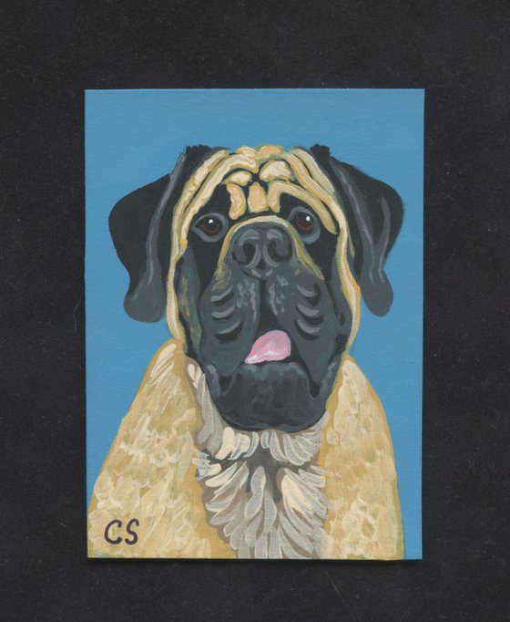 ACEO ATC Original Miniature Painting Mastiff Pet Dog Art-Carla Smale