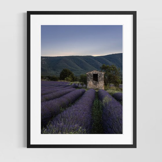 THE SUNSET OF PROVENCE