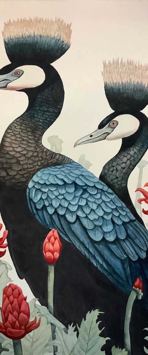Undiscovered Birds 4 by Lisa Lennon