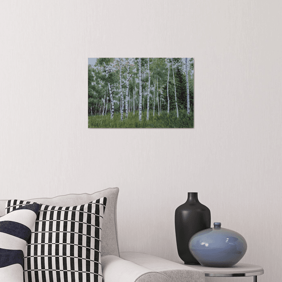 Birch Forest