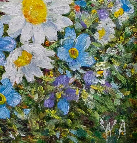 Summer Daisies