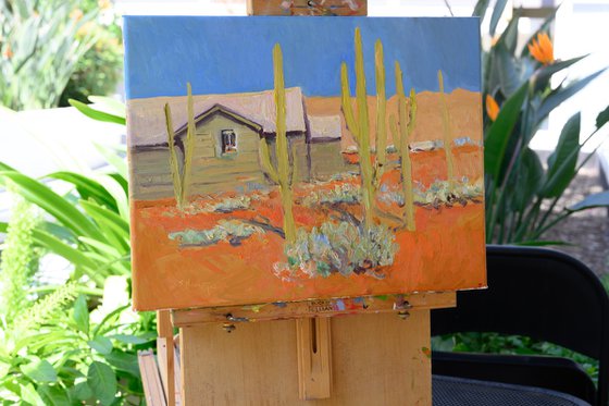 Old Houses and Cactuses