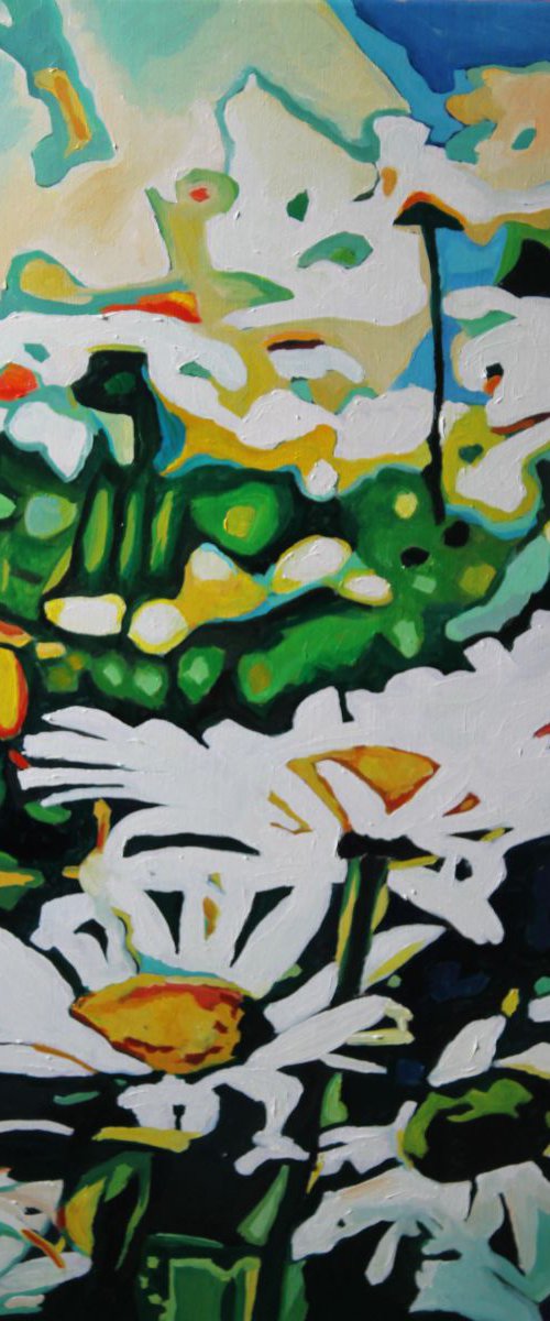 Wild Oxeye Daisies by Emma Cownie