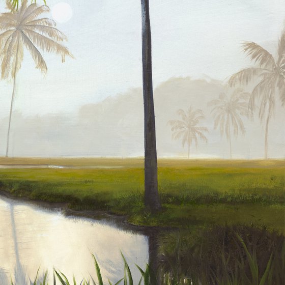 Palm Serenity