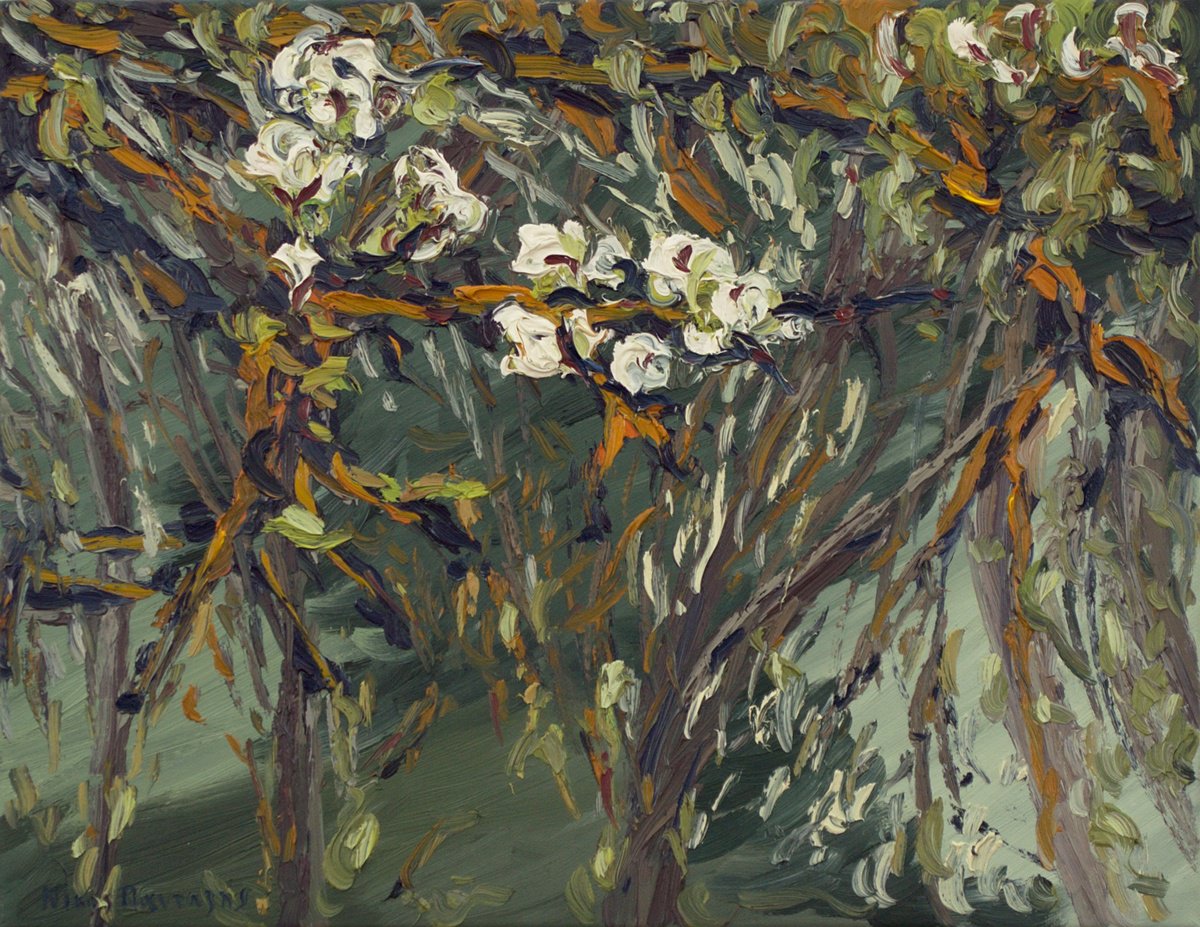 Almond tree by Nikos Pantazis