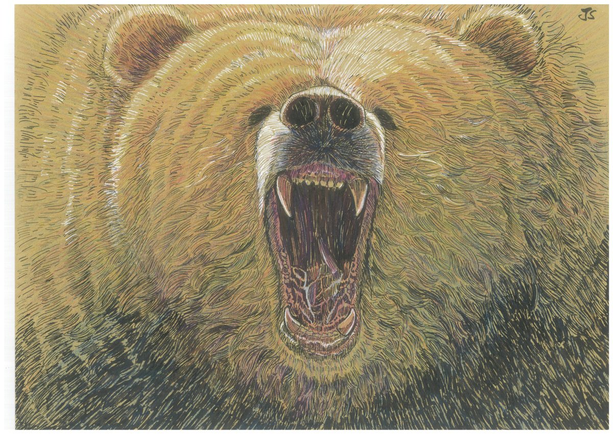 Bear by Jenny Sze