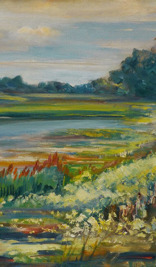 In the summer in the meadow by Vyacheslav Onyshchenko