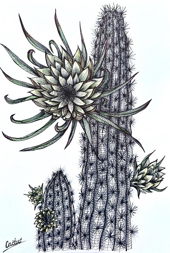 YELLOW CACTUS FLOWERS