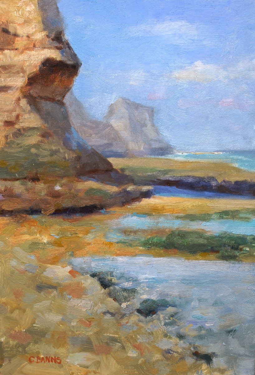 Impressionist cliffs and ocean oil painting by Gav Banns