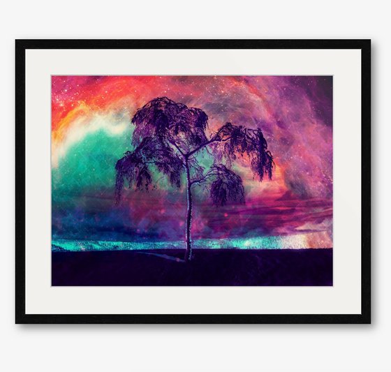 THE TREE OF LIFE | 2016 | DIGITAL ARTWORK PRINTED ON PHOTOGRAPHIC PAPER | HIGH QUALITY | UNIQUE EDITION | SIMONE MORANA CYLA | 60 X 45 CM |
