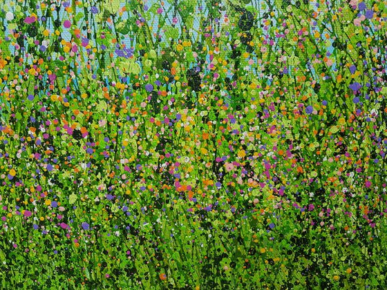 A Summer Splendor