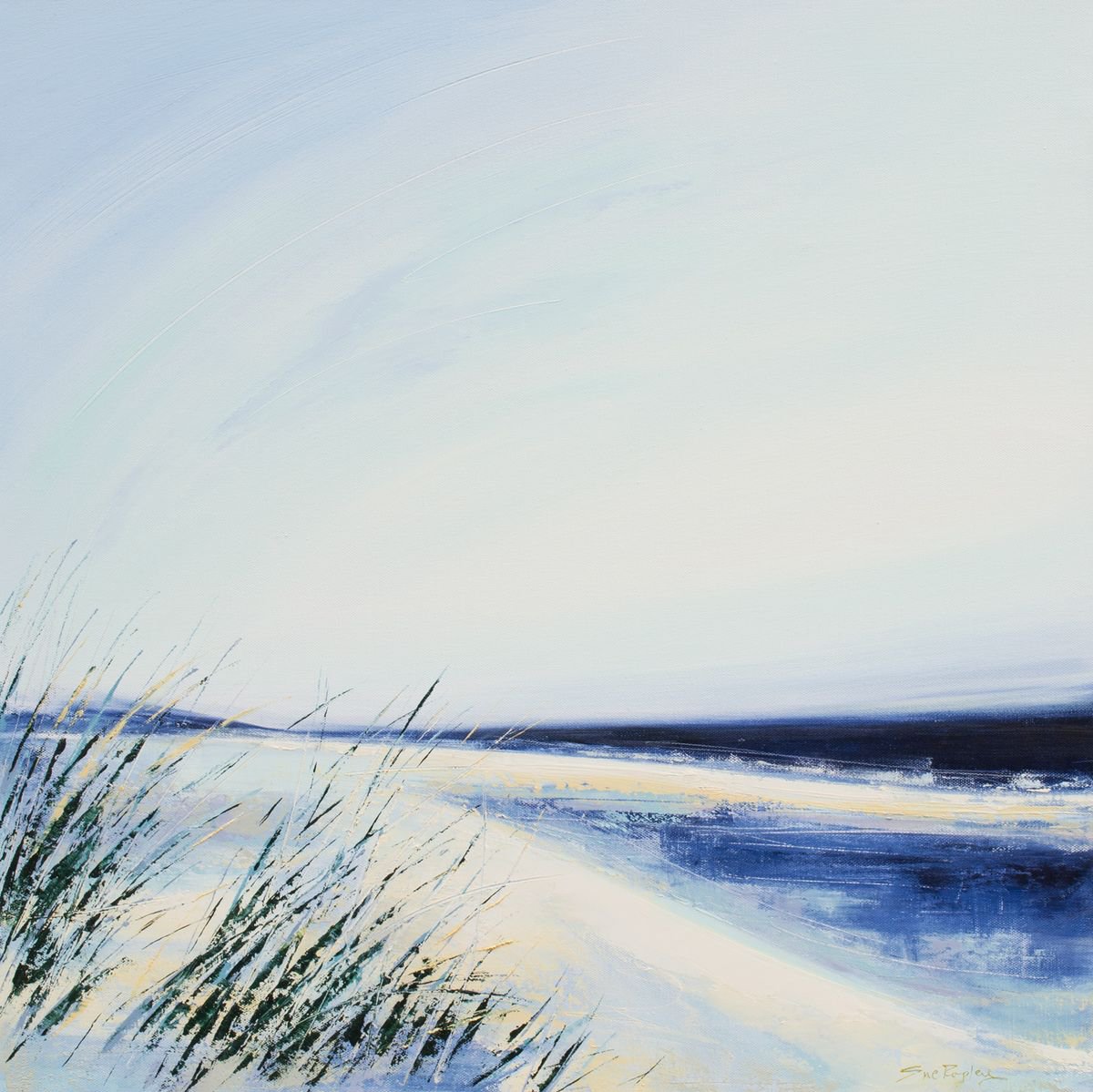 Coastal Musings by Sue Rapley