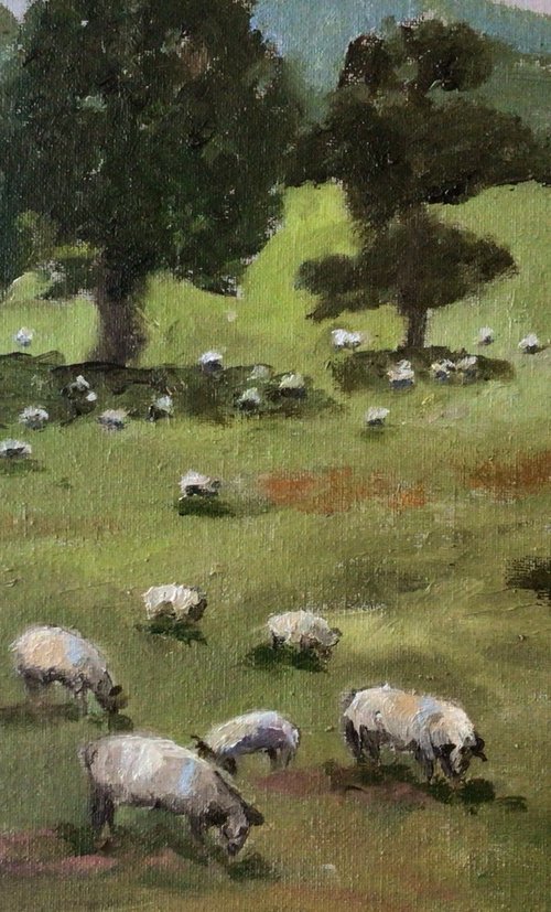Sheep in a landscape by Julian Lovegrove Art