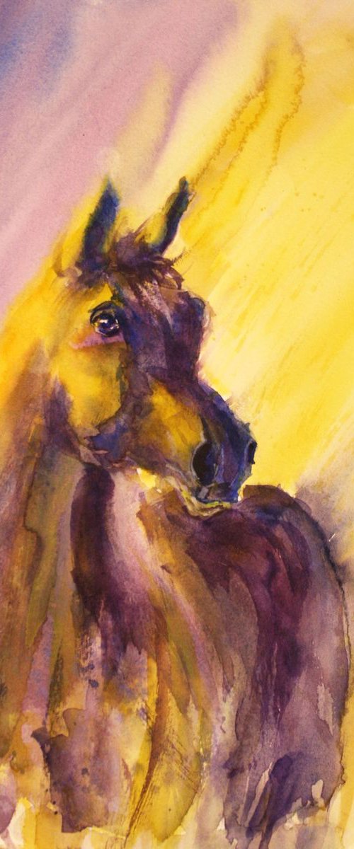 Horse VI / Arabian Horse / Original Painting by Salana Art Gallery