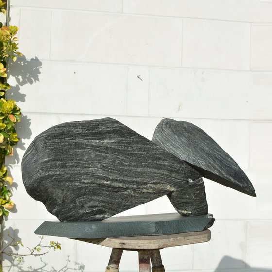 "Particular Insight"