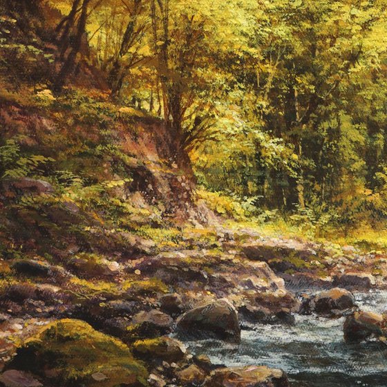 A lively stream in the autumn forest