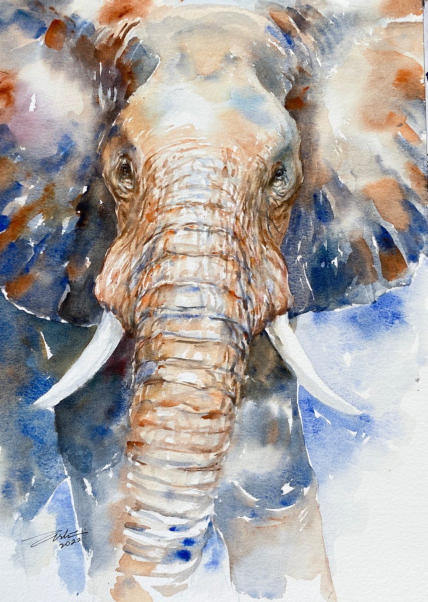 Tembo the Elephant by Arti Chauhan