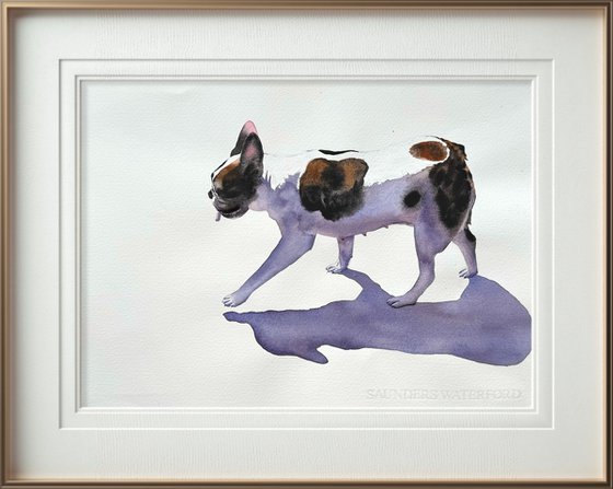 French Bulldog Black&amp;White Dog
