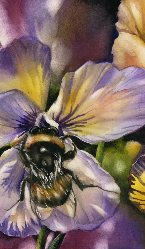 bee with pansy by Alfred  Ng