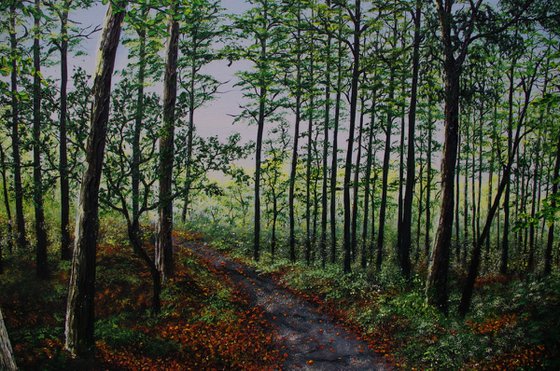 Forest Walk. 100cm X 100cm