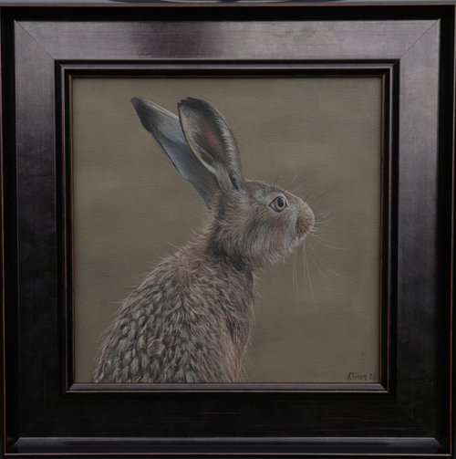 Portrait of a Hare II by Alex Jabore