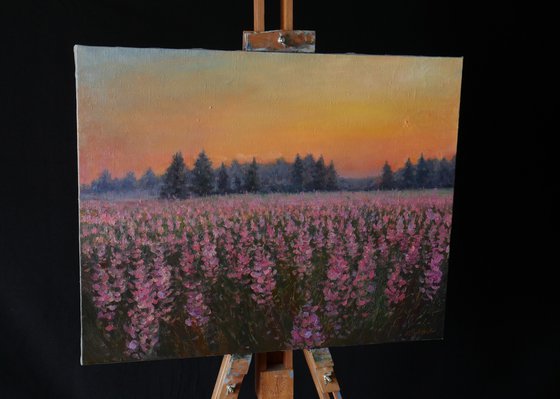 Sunset Over The Purple Flowers