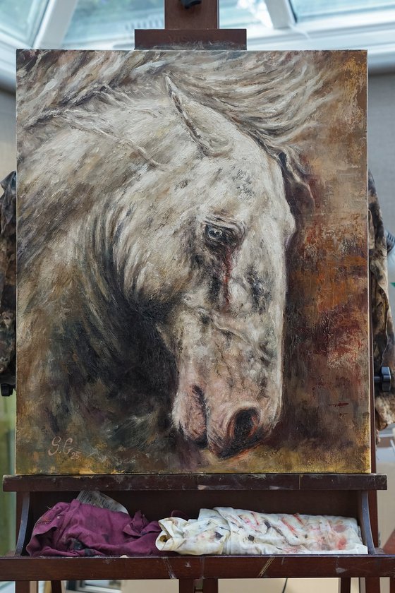 Wounded-Original Horse Portrait