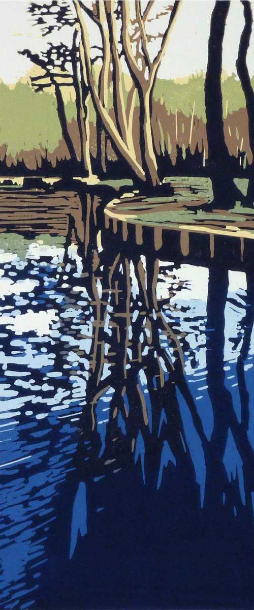 Trow Pool Reflection by Alexandra Buckle
