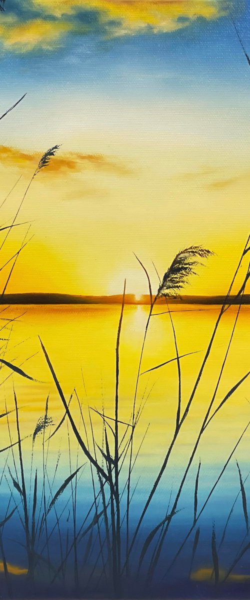 First Light by Alla Kallass