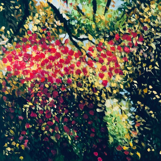 Blossom
