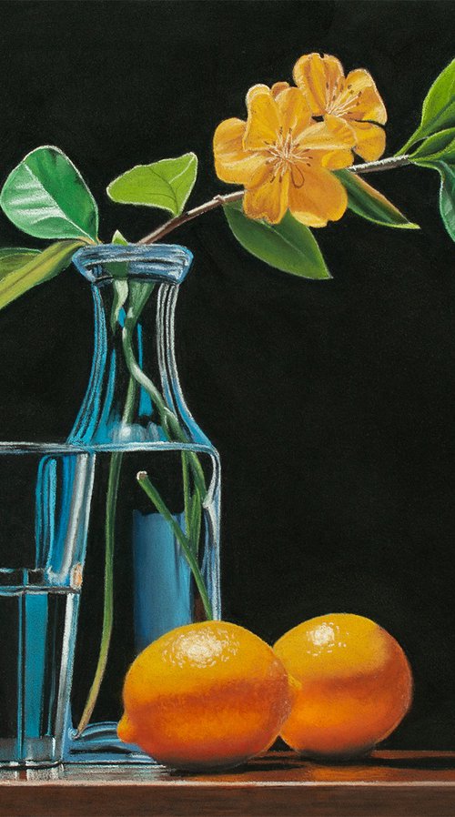 Citrus and Bloom by Dietrich Moravec