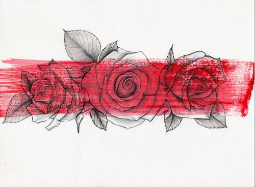 Roses by Doriana Popa