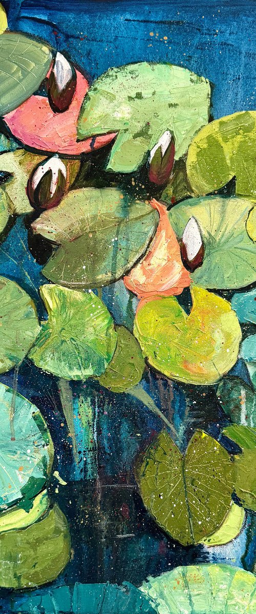 Water lilies by Bogdan Shiptenko